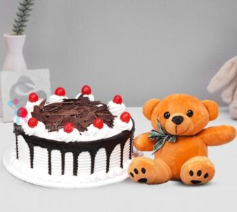 Black Forest and Teddy Combo